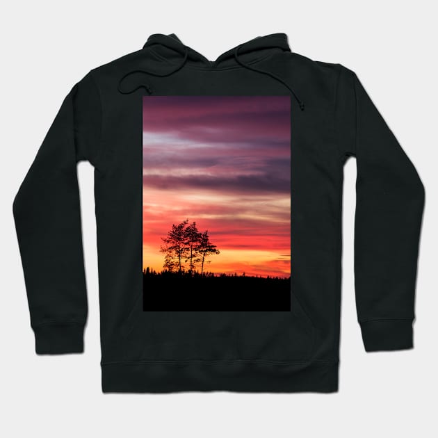 Watching the sunset Hoodie by Juhku